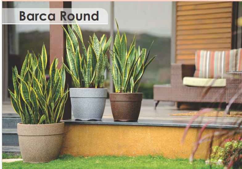 Editorial Planter Pot & Vessel